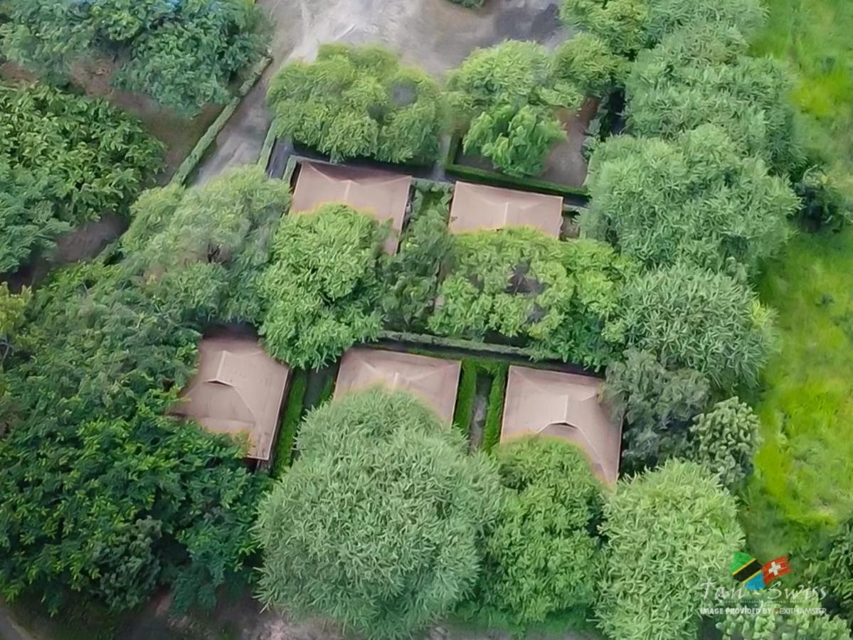 谭-瑞士山林小屋 Mikumi 外观 照片